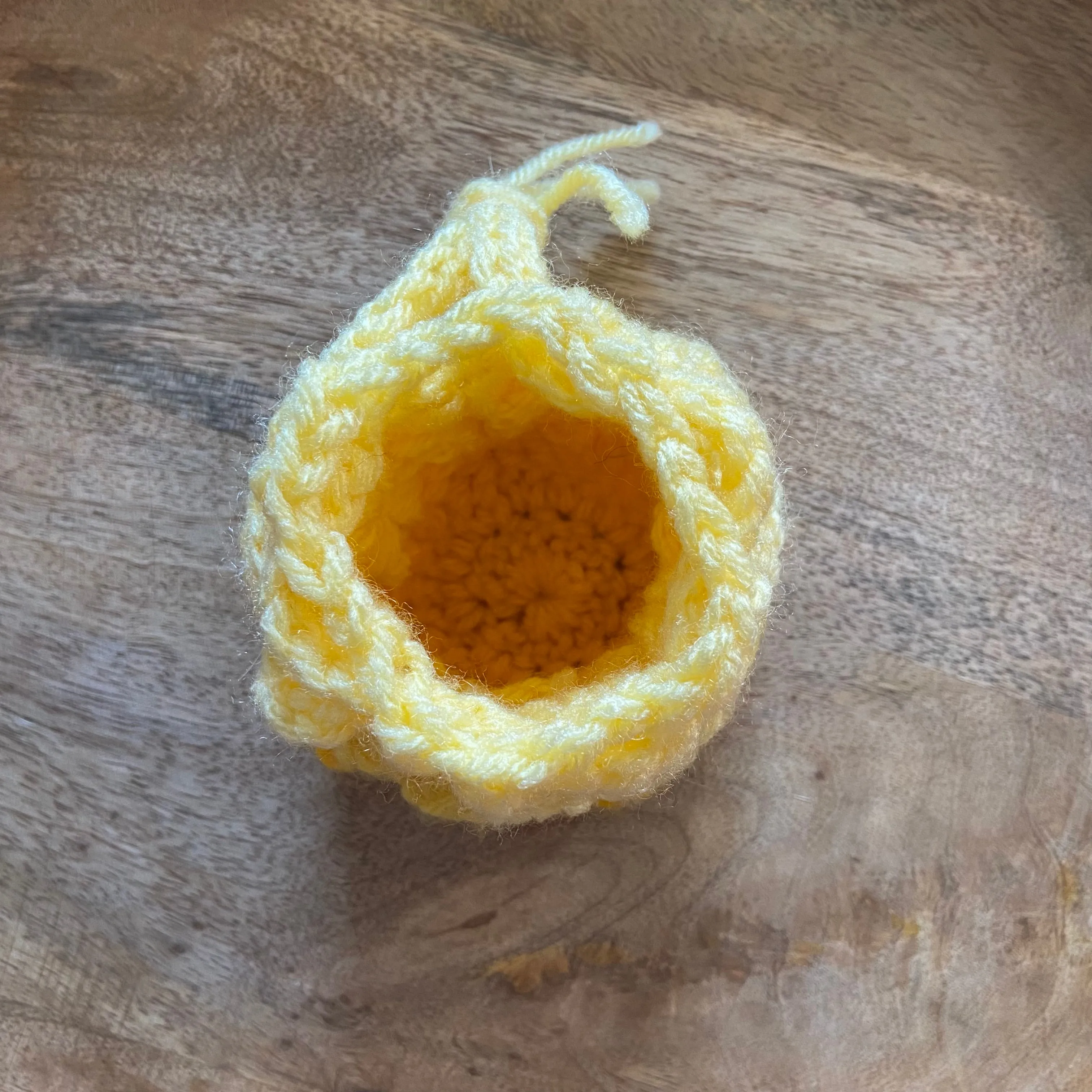 Dragon Egg Bag